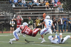 aguilas-blancas-borregos-cem-onefa-2023-26