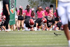 aguilas-blancas-borregos-cem-onefa-2023-52