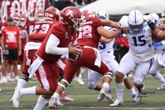 aguilas-blancas-borregos-cem-onefa-2023-87