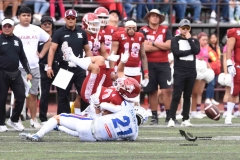 aguilas-blancas-borregos-cem-onefa-2023-94