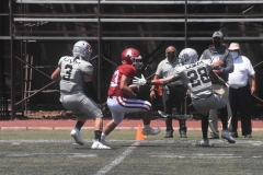 aguilas-blancas-linces-intermedia-2022-12