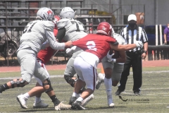 aguilas-blancas-linces-intermedia-2022-19