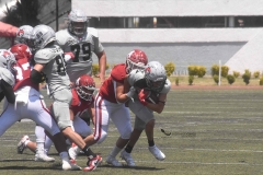 aguilas-blancas-linces-intermedia-2022-20