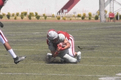 aguilas-blancas-linces-intermedia-2022-21