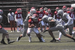 aguilas-blancas-linces-intermedia-2022-24
