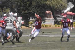 aguilas-blancas-linces-intermedia-2022-25