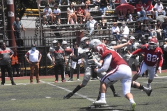 aguilas-blancas-linces-intermedia-2022-41