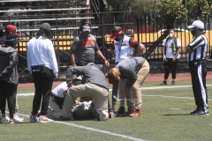 aguilas-blancas-linces-intermedia-2022-48