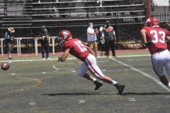 aguilas-blancas-linces-intermedia-2022-53