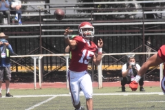 aguilas-blancas-linces-intermedia-2022-54