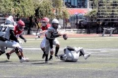 aguilas-blancas-linces-intermedia-2022-59