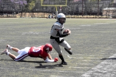 aguilas-blancas-linces-intermedia-2022-61