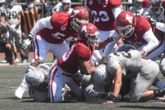 aguilas-blancas-linces-intermedia-2022-66