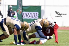 aguilas-blancas-pumas-acatlan-2023-onefa-109