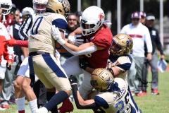 aguilas-blancas-pumas-acatlan-2023-onefa-133