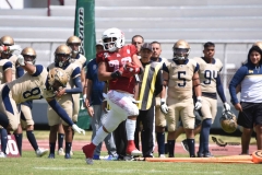 aguilas-blancas-pumas-acatlan-2023-onefa-153