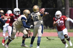 aguilas-blancas-pumas-acatlan-2023-onefa-160