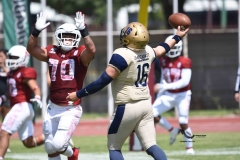 aguilas-blancas-pumas-acatlan-2023-onefa-162