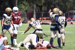 aguilas-blancas-pumas-acatlan-2023-onefa-171