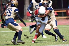 aguilas-blancas-pumas-acatlan-2023-onefa-177