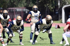 aguilas-blancas-pumas-acatlan-2023-onefa-179