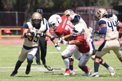 aguilas-blancas-pumas-acatlan-2023-onefa-195