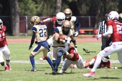aguilas-blancas-pumas-acatlan-2023-onefa-196