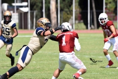 aguilas-blancas-pumas-acatlan-2023-onefa-202