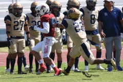aguilas-blancas-pumas-acatlan-2023-onefa-205
