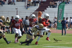 aguilas-blancas-pumas-acatlan-2023-onefa-4
