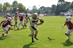 aguilas-blancas-pumas-acatlan-2023-onefa-52