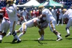 aguilas-blancas-pumas-cu-2023-onefa-71