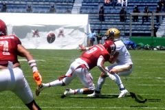 aguilas-blancas-pumas-cu-2023-onefa-84