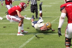 aguilas-blancas-pumas-cu-2022-onefa-113