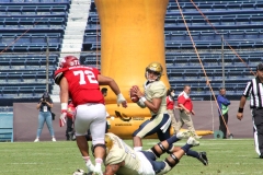 aguilas-blancas-pumas-cu-2022-onefa-98