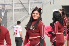 DSC_7029