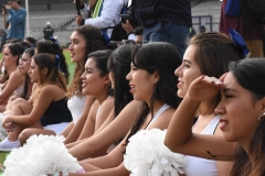 DSC_7410