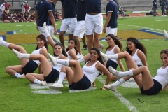 DSC_7433