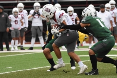 aguilas-blancas-cheyennes-intermedia-2025-onefa-19
