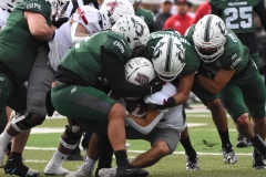 aguilas-blancas-cheyennes-intermedia-2025-onefa-61
