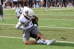 aguilas-blancas-cheyennes-intermedia-2025-onefa-78