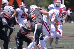 aguilas-blancas-leones-anahuac-intermedia-2023-18