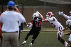 aguilas-blancas-leones-anahuac-intermedia-2023-64
