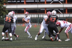 aguilas-blancas-leones-anahuac-intermedia-2023-76