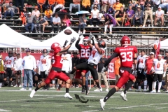 aguilas-blancas-leones-anahuac-onefa-2022-47