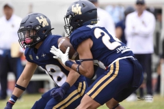 aguilas-blancas-pumas-acatlan-onefa-2024-11