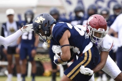 aguilas-blancas-pumas-acatlan-onefa-2024-12