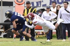 aguilas-blancas-pumas-acatlan-onefa-2024-16