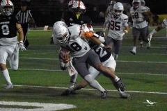 leones-anahuac-aguilas-blancas-intermedia-onefa-2025-2