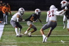 leones-anahuac-aguilas-blancas-intermedia-onefa-2025-89
